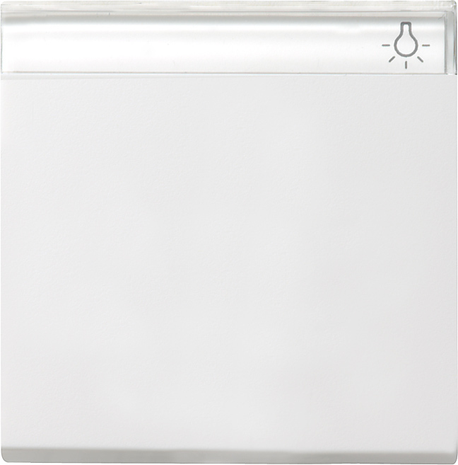 GIRA 329927 Wippe mit Beschriftungsfeld Reinweiß-Seidenmatt