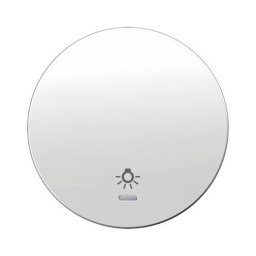 Berker 16212079 Wippe mit klarer Linse und Aufdruck Symbol Licht R.1/R.3 Polarweiß, Glänzend Berker 16212079 Wippe mit klarer Linse und Aufdruck Symbol Licht R.1/R.3 Polarweiß, Glänzend