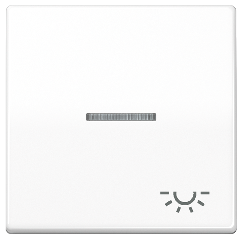 JUNG AS591KO5LWW Kontroll-Wippe mit Symbol "Licht" Alpinweiß JUNG AS591KO5LWW Kontroll-Wippe mit Symbol "Licht" Alpinweiß