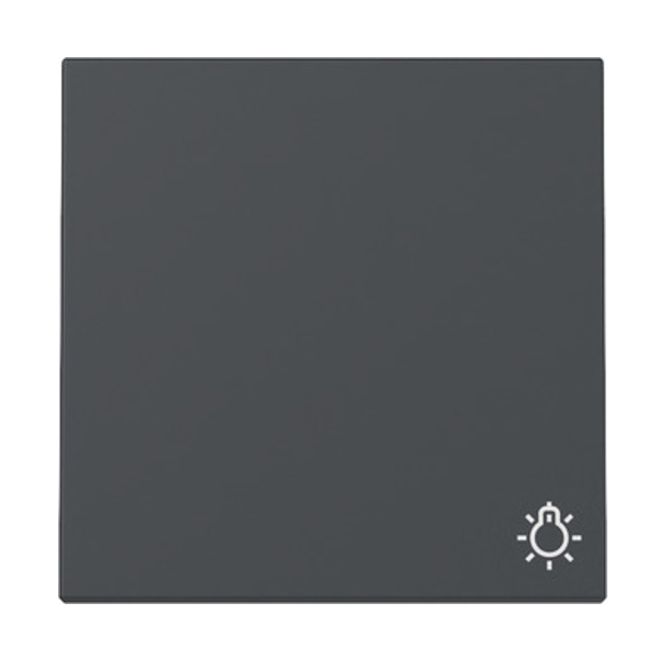 GIRA 328528 Wippe mit Symbol "Licht" Anthrazit GIRA 328528 Wippe mit Symbol "Licht" Anthrazit