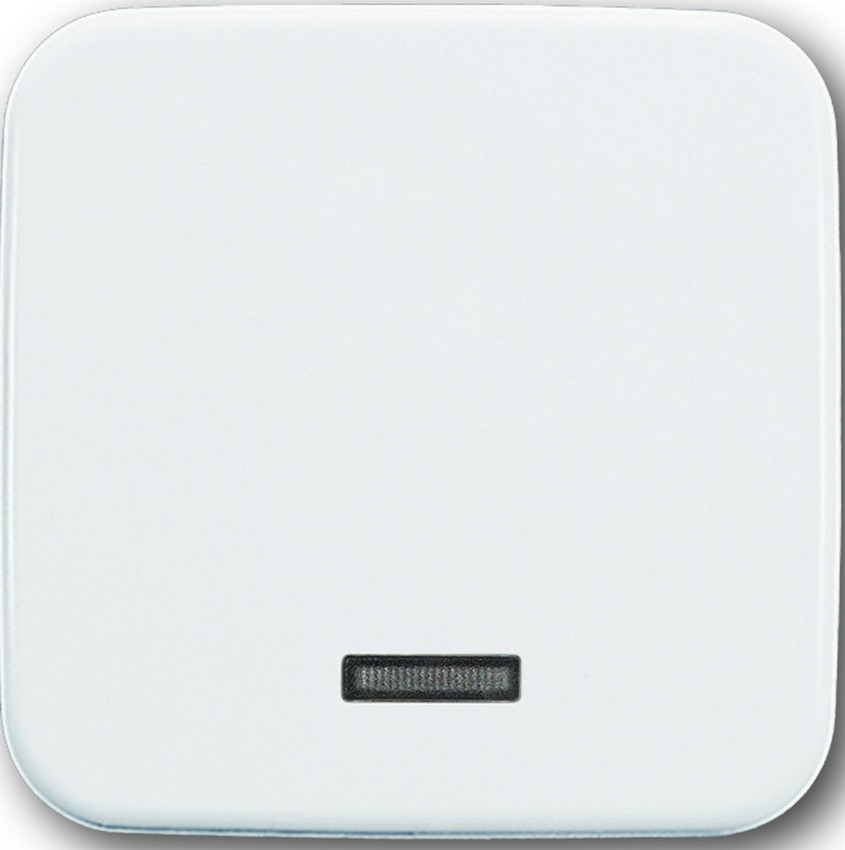 Busch-Jaeger 6543-214-102 Zentralscheibe Tast-Dimmer Alpinweiß Busch-Jaeger 6543-214-102 Zentralscheibe Tast-Dimmer Alpinweiß