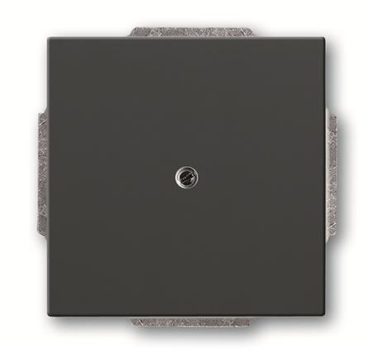 Busch-Jaeger 1742-81 Blindzentralscheibe mit Tragring Anthrazit Busch-Jaeger 1742-81 Blindzentralscheibe mit Tragring Anthrazit