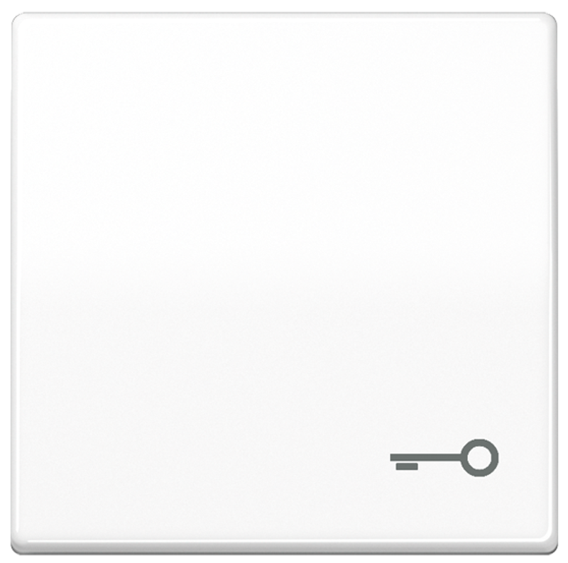 JUNG AS591TWW Wippe mit Symbol "Schlüssel" 
Alpinweiß JUNG AS591TWW Wippe mit Symbol "Schlüssel" 
Alpinweiß