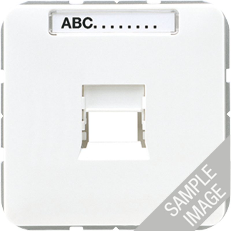 JUNG 569-15WE Abdeckung 1-Loch Modular-Jack-Steckbuchsen mit Schriftfeld
 Cremeweis