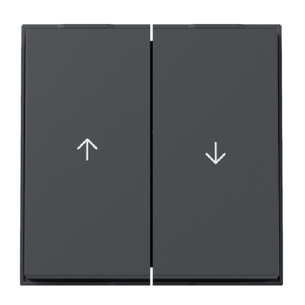 GIRA 329467 Jalousie-Wippe Anthrazit