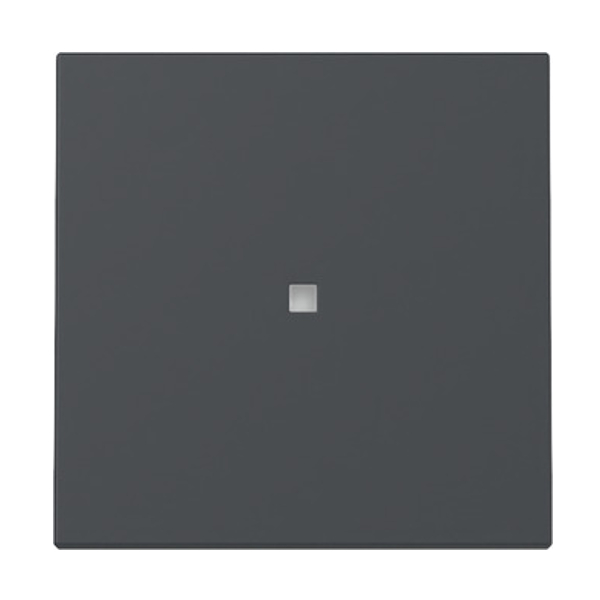 GIRA 329028 Kontroll-Wippe Anthrazit GIRA 329028 Kontroll-Wippe Anthrazit