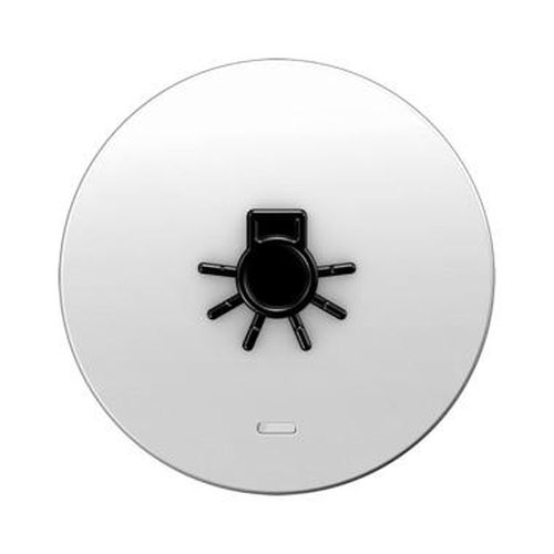 Berker 16512049 Wippe mit klarer Linse und abtastbarem Symbol Licht R.1/R.3 Polarweiß, Glänzend Berker 16512049 Wippe mit klarer Linse und abtastbarem Symbol Licht R.1/R.3 Polarweiß, Glänzend