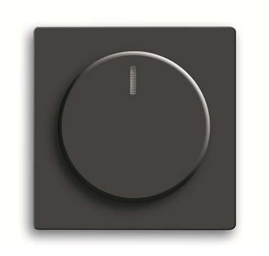 Busch-Jaeger 6540-885-102 Zentralscheibe Dreh-Dimmer Schwarz-Matt