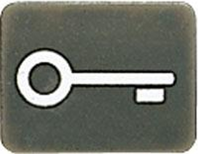 JUNG 33ANT Symbol Schlüssel Anthrazit JUNG 33ANT Symbol Schlüssel Anthrazit
