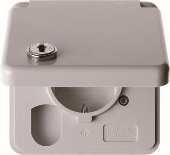 Berker 4212 Steckdose SCHUKO mit Abdeckpl., Klappd. u. Schloss wgUp IP44 Grau, Glänzend