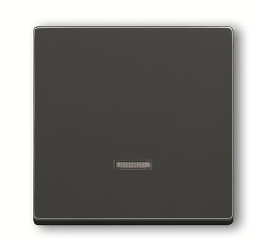 Busch-Jaeger 6543-81-101 Zentralscheibe Tast-Dimmer Anthrazit Busch-Jaeger 6543-81-101 Zentralscheibe Tast-Dimmer Anthrazit