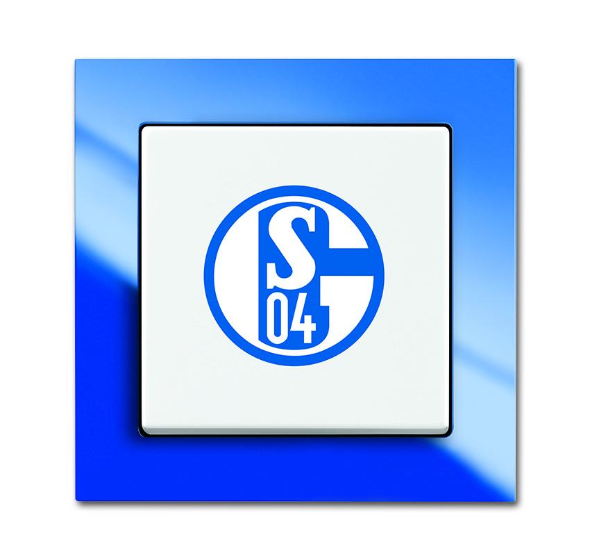 Busch-Jaeger 2000/6UJ/02 Aus/Wechselschalter Fanschalter "FC Schalke 04"