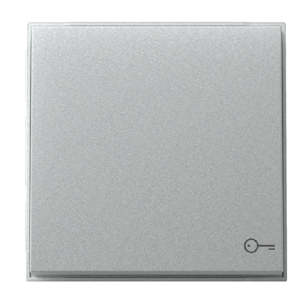 GIRA 328765 Wippe mit Symbol "Schlüssel" Farbe-Alu