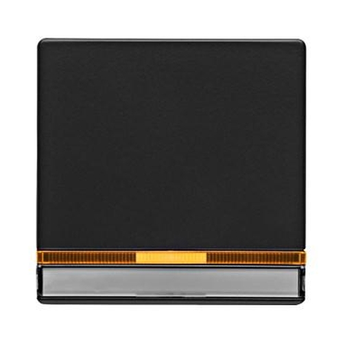 Berker 16286086 Wippe mit 2 beiliegenden Linsen und Beschriftungsfeld Q.1/Q.3 Anthrazit, Samt Berker 16286086 Wippe mit 2 beiliegenden Linsen und Beschriftungsfeld Q.1/Q.3 Anthrazit, Samt