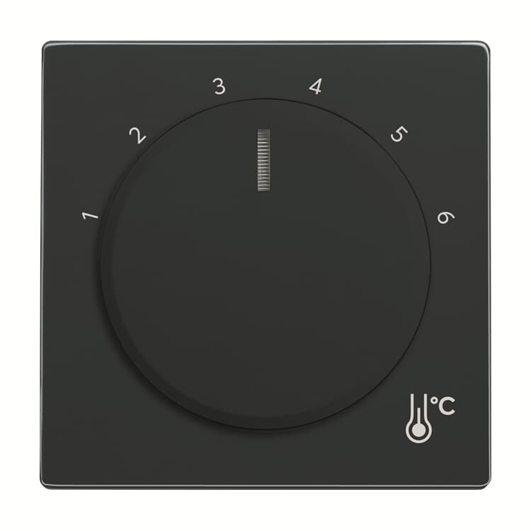 Busch-Jaeger 1794 R-81 Abdeckung für Raumtemperaturregler Anthrazit