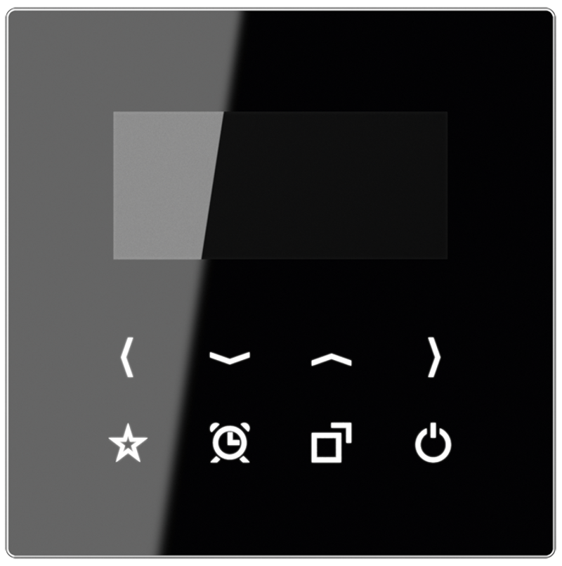 JUNG RADLS-DISPSW Display für Smart Radio
 Schwarz