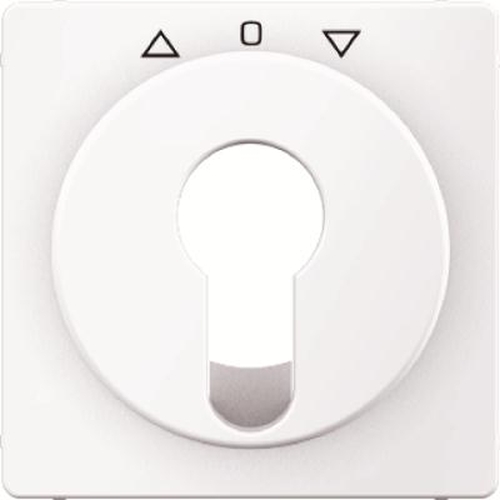 Berker 15066089 Zentralstück für Jalousie-Schlüsselschalter/-taster Q.1/Q.3 Polarweiß, Samt Berker 15066089 Zentralstück für Jalousie-Schlüsselschalter/-taster Q.1/Q.3 Polarweiß, Samt