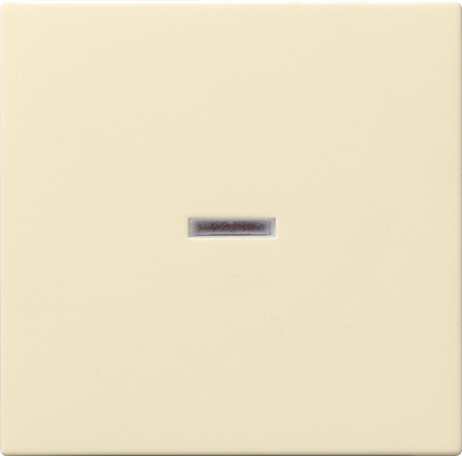 GIRA 329001 Kontroll-Wippe mit Beschriftungsfeld Cremeweiß-Glänzend