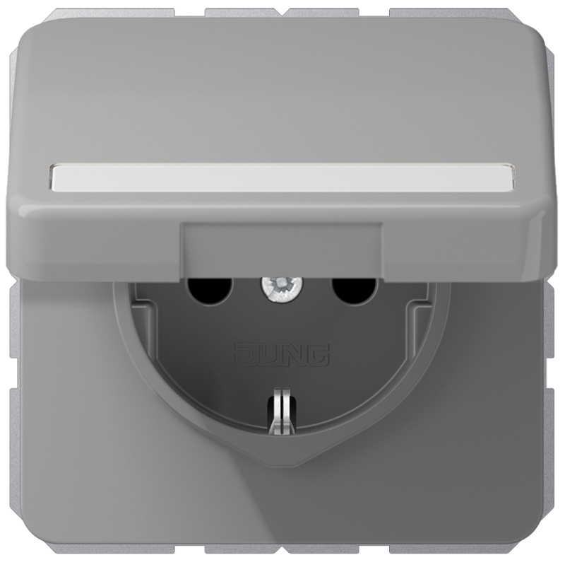 JUNG CD1520BFNAKLGR Steckdosen-Einsatz mit Klappdeckel und Schriftfeld
 Grau JUNG CD1520BFNAKLGR Steckdosen-Einsatz mit Klappdeckel und Schriftfeld
 Grau