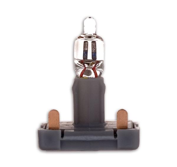 Steck- Glimmlampe Steck- Glimmlampe