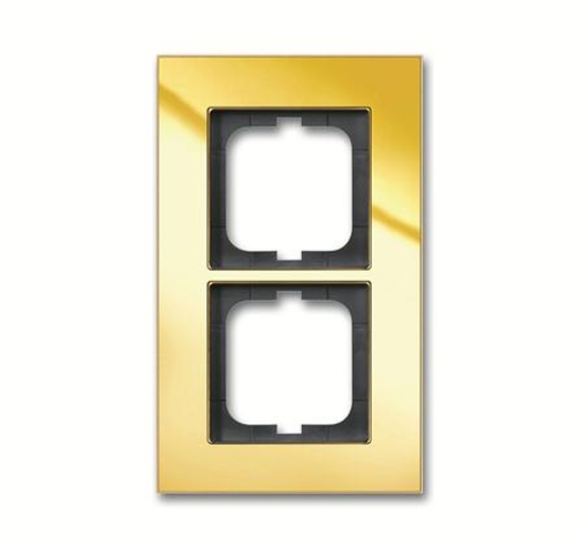 Busch-Jaeger 1722-823-101 Rahmen 2-Fach Gold Busch-Jaeger 1722-823-101 Rahmen 2-Fach Gold