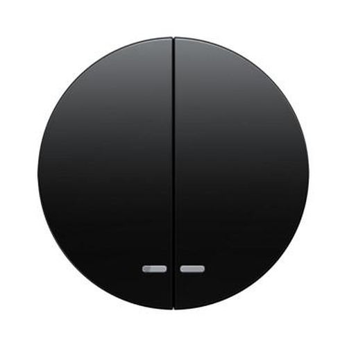 Berker 16272045 Wippen mit klarer Linse R.1/R.3 Schwarz, Glänzend Berker 16272045 Wippen mit klarer Linse R.1/R.3 Schwarz, Glänzend