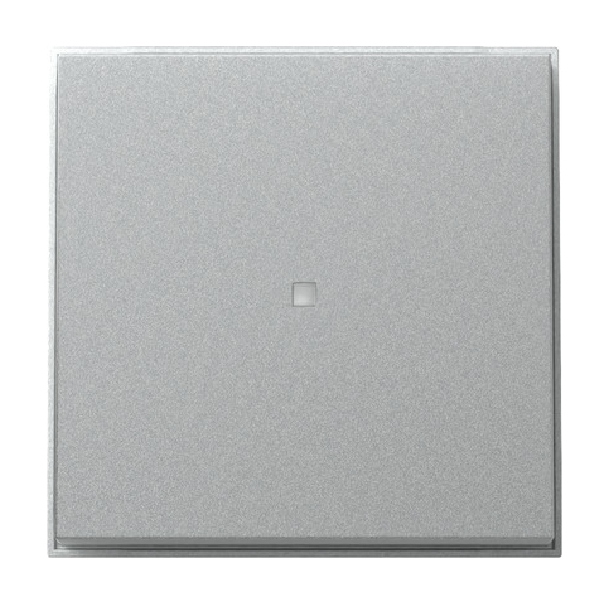 GIRA 329065 Kontroll-Wippe Farbe-Alu