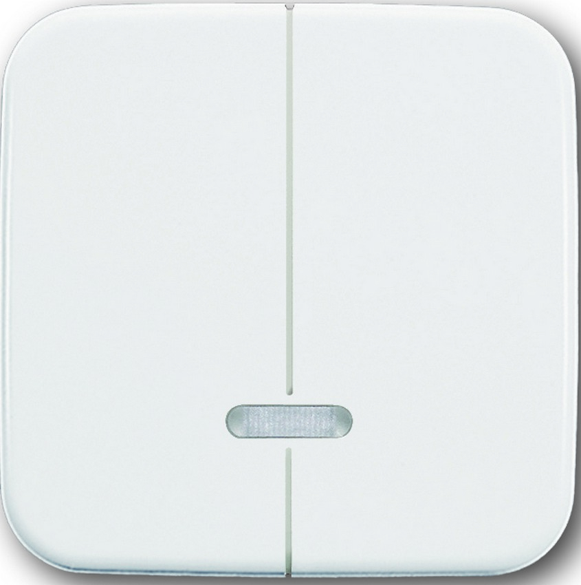 Busch-Jaeger 6545-214 Zentralscheibe Serien-Dimmer Alpinweiß Busch-Jaeger 6545-214 Zentralscheibe Serien-Dimmer Alpinweiß