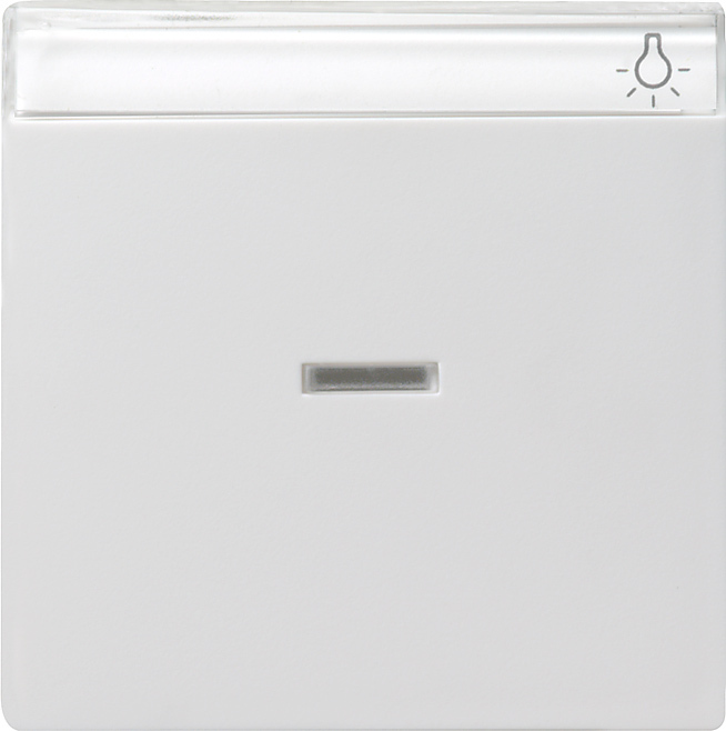 GIRA 367003 Kontroll-Wippe mit Beschriftungsfeld Reinweiß-Glänzend