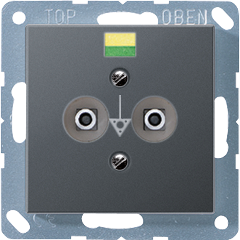 JUNG A565-2BFANM Potentialausgleich-Steckdose Anthrazit Matt