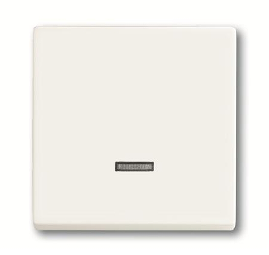 Busch-Jaeger 6543-884-101 Zentralscheibe Tast-Dimmer Studioweiß-Matt