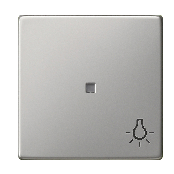 GIRA 3285600 Wippe mit Symbol "Licht" Edelstahl GIRA 3285600 Wippe mit Symbol "Licht" Edelstahl