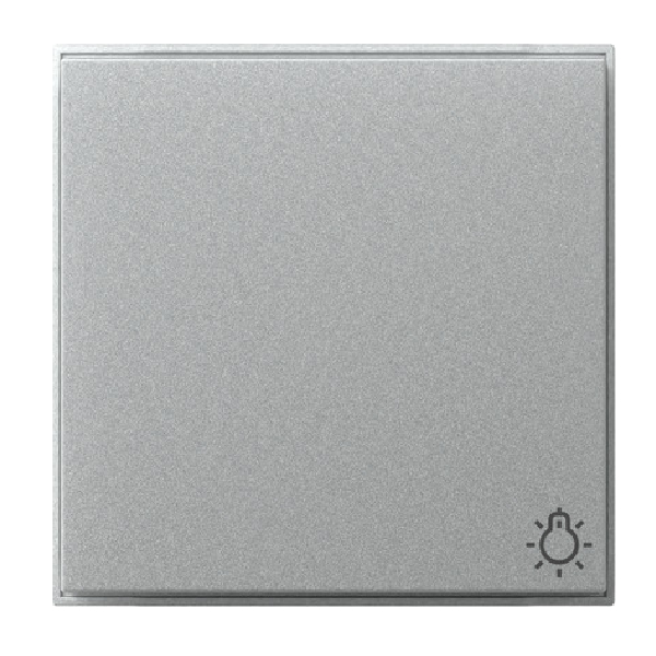 GIRA 328565 Wippe mit Symbol "Licht" Farbe-Alu