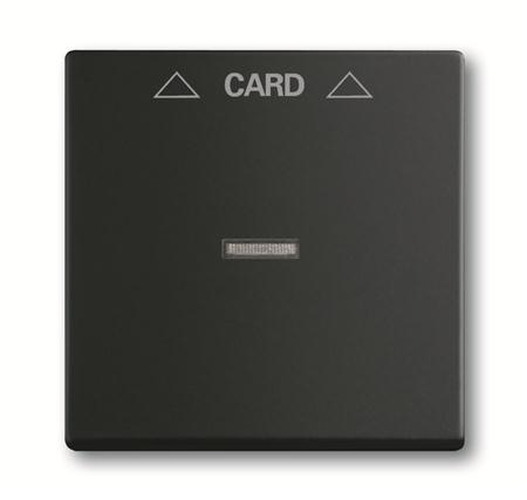 Busch-Jaeger 1792-885 Abdeckung Cardschalter Schwarz-Matt Busch-Jaeger 1792-885 Abdeckung Cardschalter Schwarz-Matt