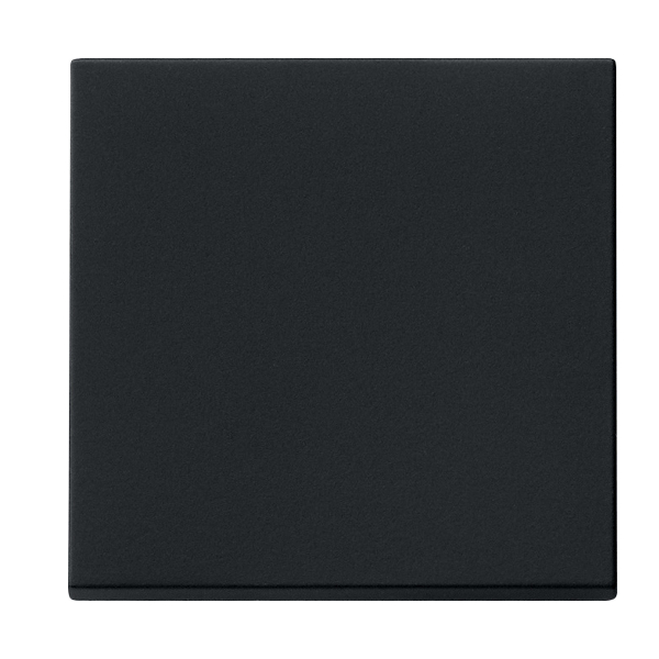 GIRA 3296005 Schalter/Taster Wippe Schwarz Matt GIRA 3296005 Schalter/Taster Wippe Schwarz Matt