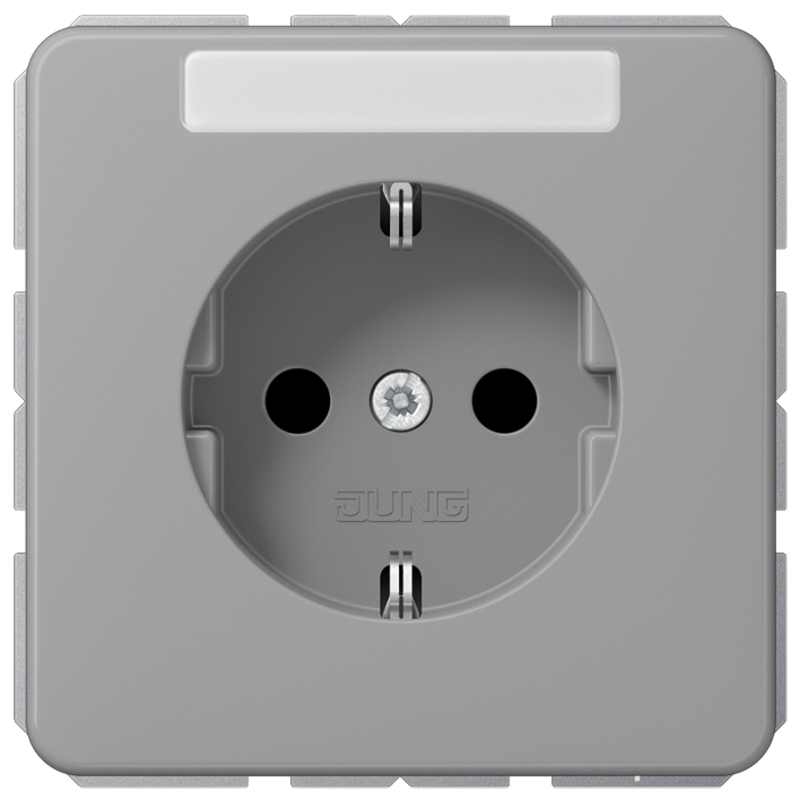 JUNG CD1520BFKINAGR Steckdosen-Einsatz mit EBS und Schriftfeld Grau