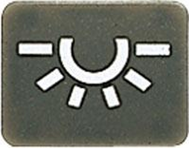 JUNG 33ANL Symbol Licht Anthrazit JUNG 33ANL Symbol Licht Anthrazit