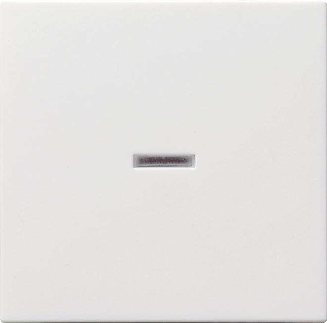 GIRA 367027 Kontroll-Wippe mit Beschriftungsfeld Reinweiß-Seidenmatt