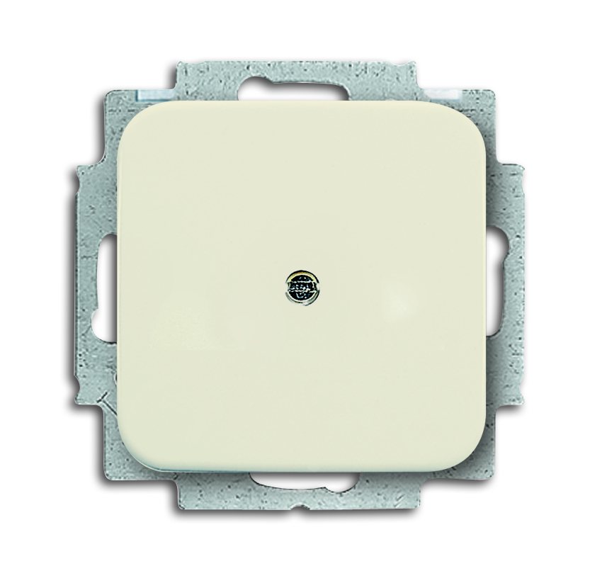 Busch-Jaeger 2538-212 Blindzentralscheibe mit Tragring Cremeweiß Busch-Jaeger 2538-212 Blindzentralscheibe mit Tragring Cremeweiß