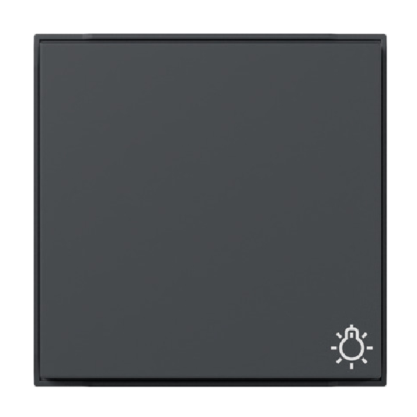 GIRA 328567 Wippe mit Symbol "Licht" Anthrazit