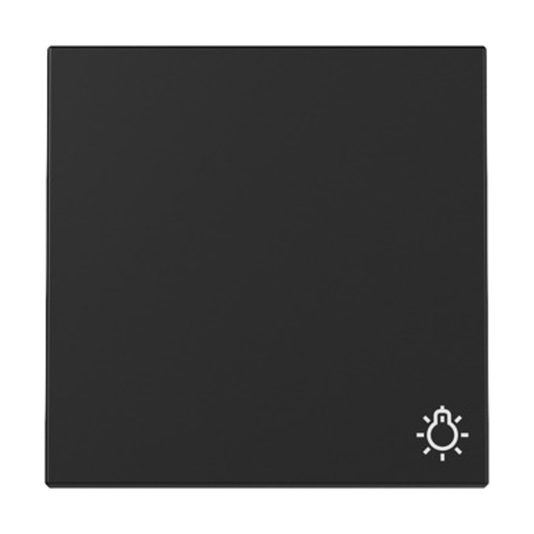 GIRA 3285005 Wippe mit Symbol "Licht" Schwarz Matt GIRA 3285005 Wippe mit Symbol "Licht" Schwarz Matt
