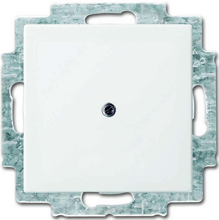 Busch-Jaeger 2538-914 Blindzentralscheibe mit Tragring Alpinweiß Busch-Jaeger 2538-914 Blindzentralscheibe mit Tragring Alpinweiß