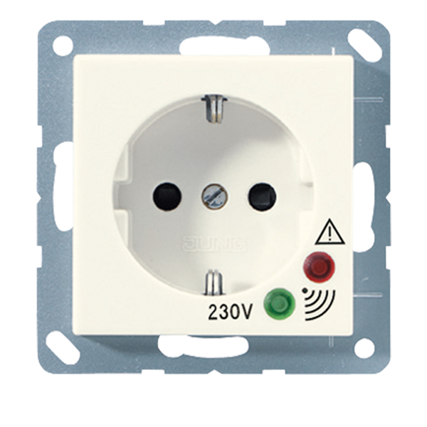 JUNG A521KIUF Steckdosen-Einsatz mit Überspannungsschutz Cremeweiß JUNG A521KIUF Steckdosen-Einsatz mit Überspannungsschutz Cremeweiß