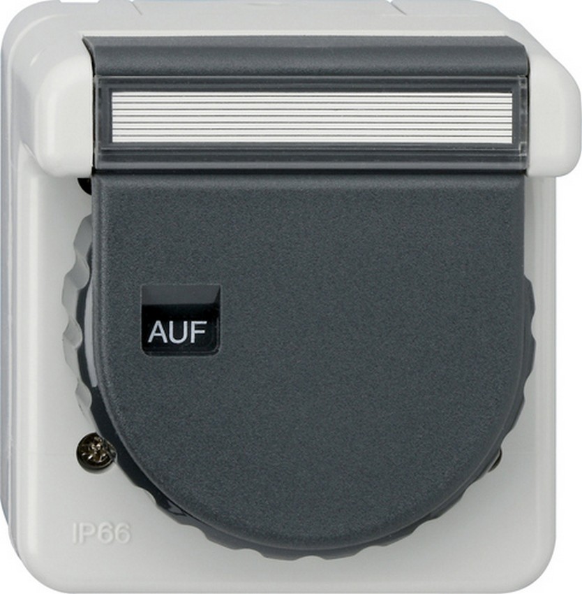 GIRA 044031 Schuko-Steckdosen-Einsatz mit Klappdeckel und Beschriftungsfeld Grau GIRA 044031 Schuko-Steckdosen-Einsatz mit Klappdeckel und Beschriftungsfeld Grau