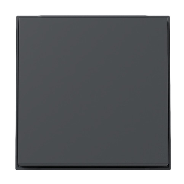 GIRA 329667 Schalter/Taster Wippe Anthrazit