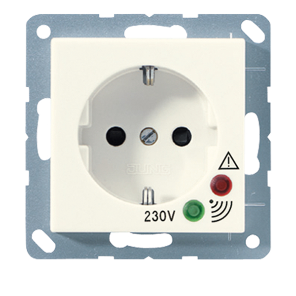 JUNG A521KIUF Steckdosen-Einsatz mit Überspannungsschutz Cremeweiß