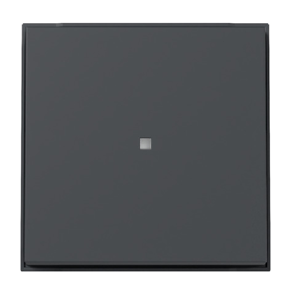GIRA 329067 Kontroll-Wippe Anthrazit