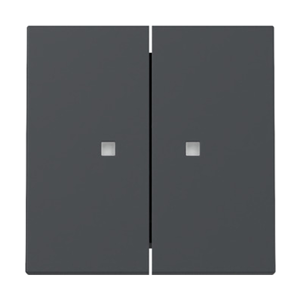 GIRA 363128 Kontroll-Serien-Wippe Anthrazit GIRA 363128 Kontroll-Serien-Wippe Anthrazit
