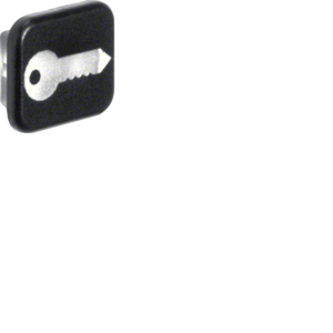 Berker 18223503 Linse mit Aufdruck Symbol Schlüssel W.1 10er-Set Berker 18223503 Linse mit Aufdruck Symbol Schlüssel W.1 10er-Set