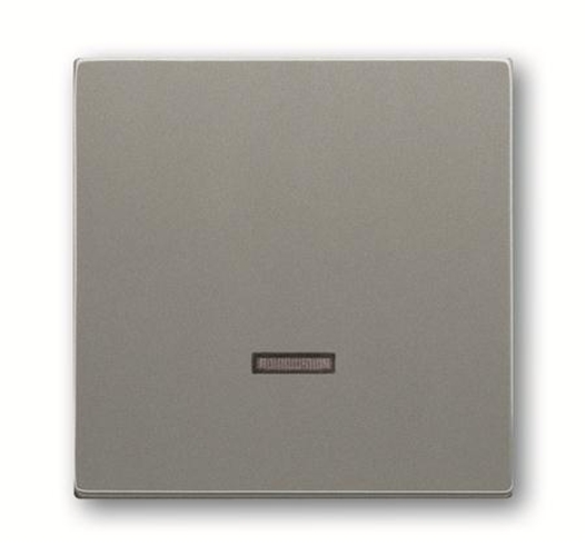 Busch-Jaeger 6543-803-101 Zentralscheibe Tast-Dimmer Meteor-Graumetallic